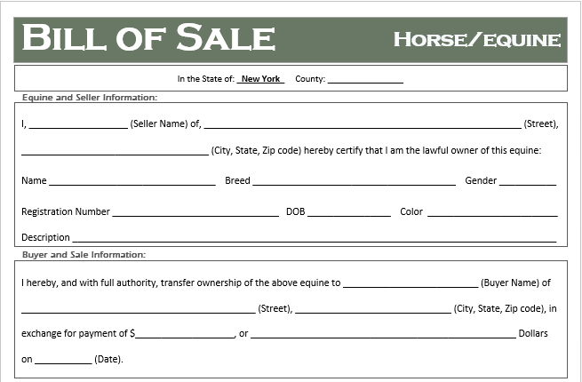 New York Horse Bill of Sale